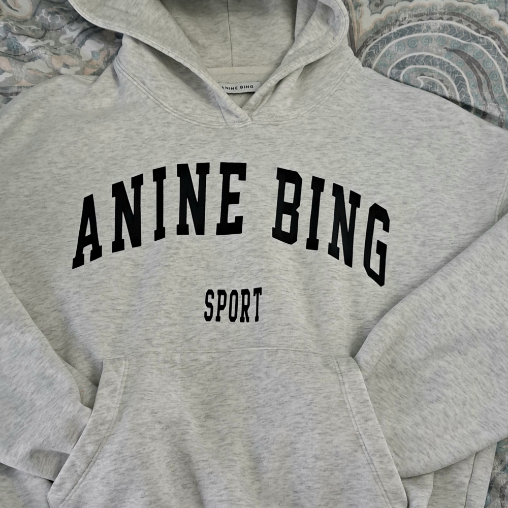 Anine Bing Sport Gray Hoodie